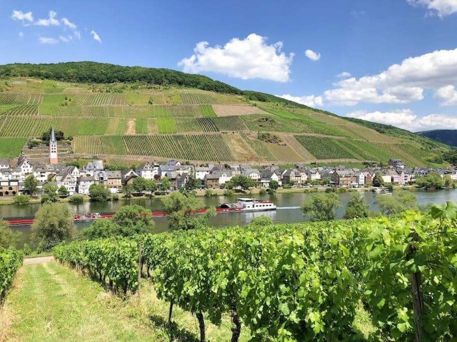 Schwanennest Holiday home Zell an der Mosel